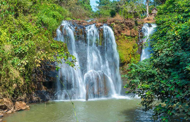 Norng-Kabat-Forest-at-Ratanakiri2