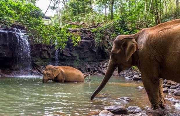 Phnom-Rich-Wildlife-Sanctuary-at-Modul-Kiri1