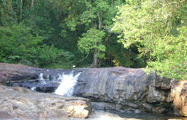 Virachey-National-Park-at-Ratanakiri