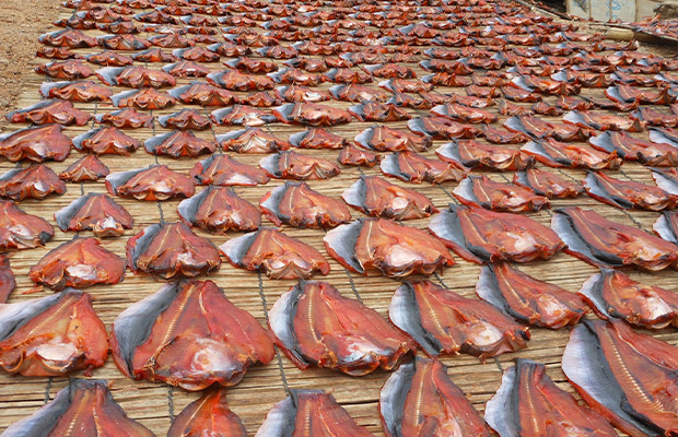 Prahok-Factory-–-Battambang2